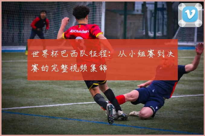世界杯巴西队征程:从小组赛到决赛的完整视频集锦